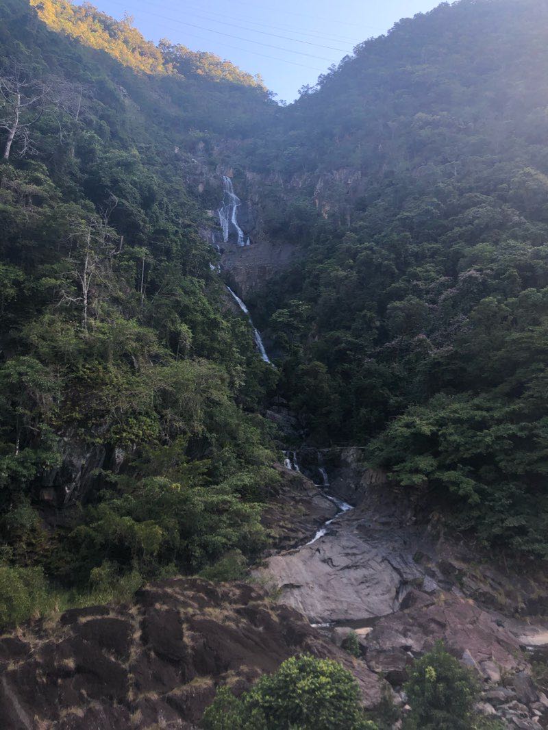 walking near me in Barron Gorge National Park in summer