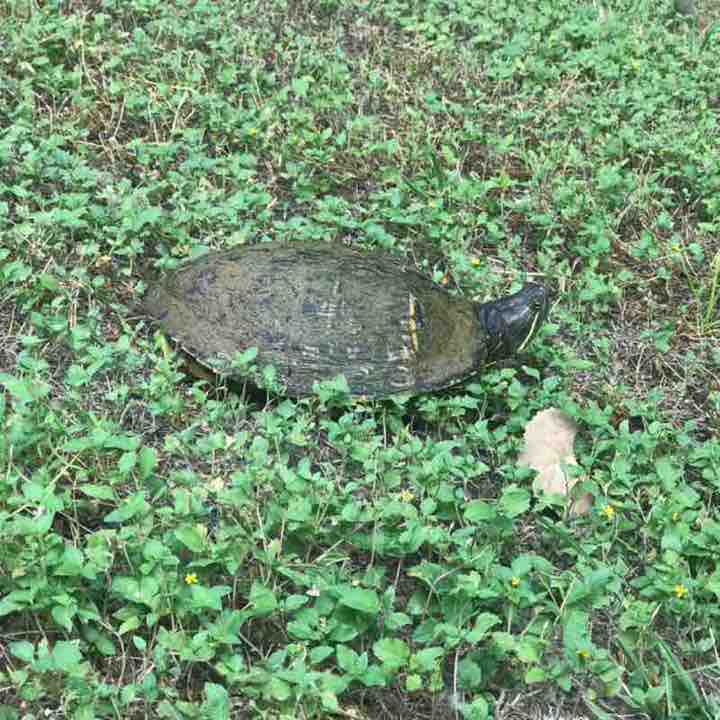 Jacob-Runs-Fast post 1