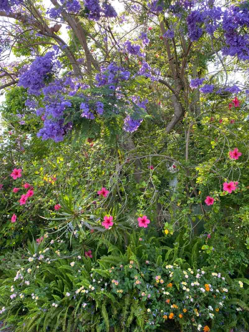 walking near me in Farnsworth Park in winter