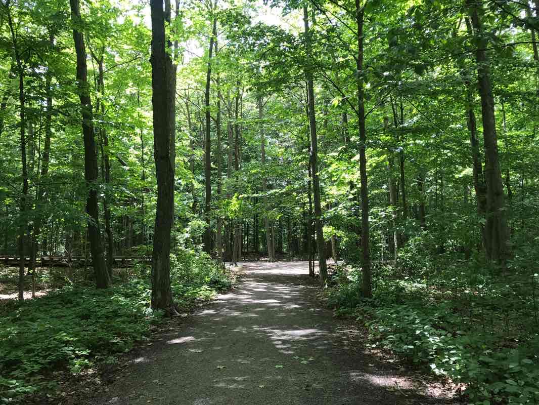 walking near me in Wismer Park in winter