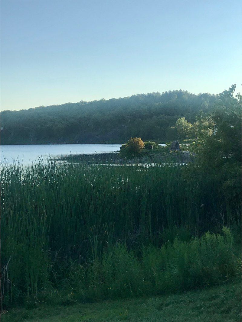 walking near me in Minnow Lake Conservation Area in winter