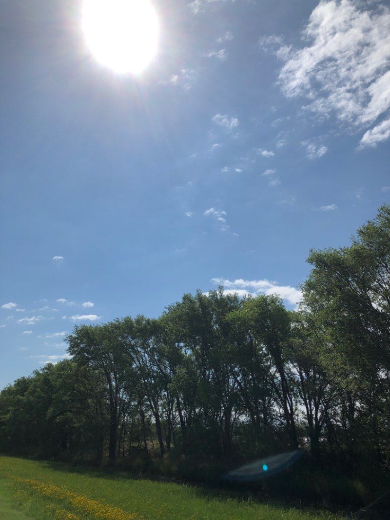 walking near me in Broadway Park in winter