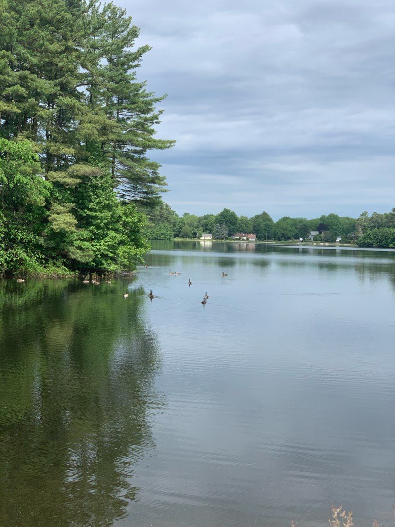 walking near me in Minuteman Park in winter