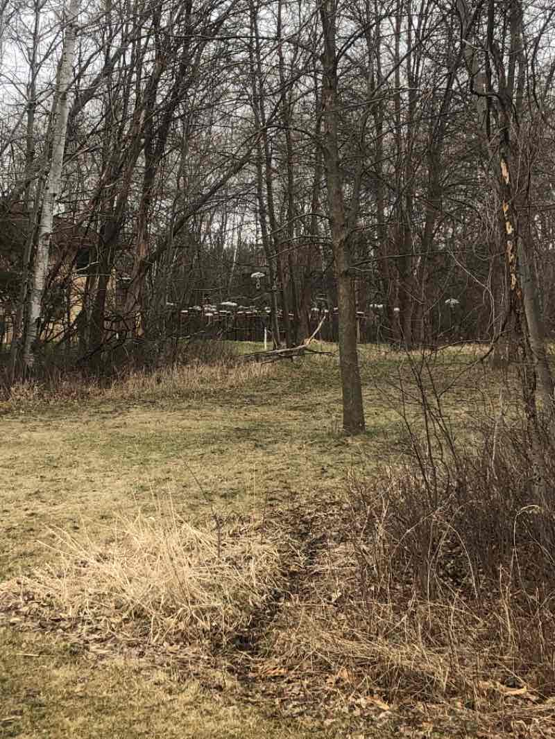 walking near me in Concord Park in winter