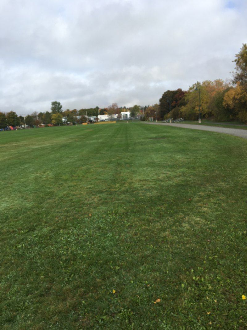 walking near me in Columbus Field in winter
