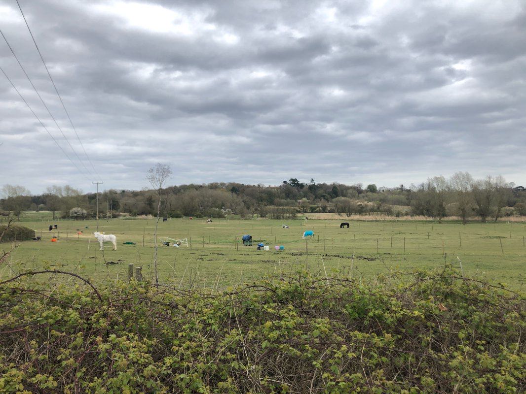 walking near me in Sproughton (Millennium Green) in winter