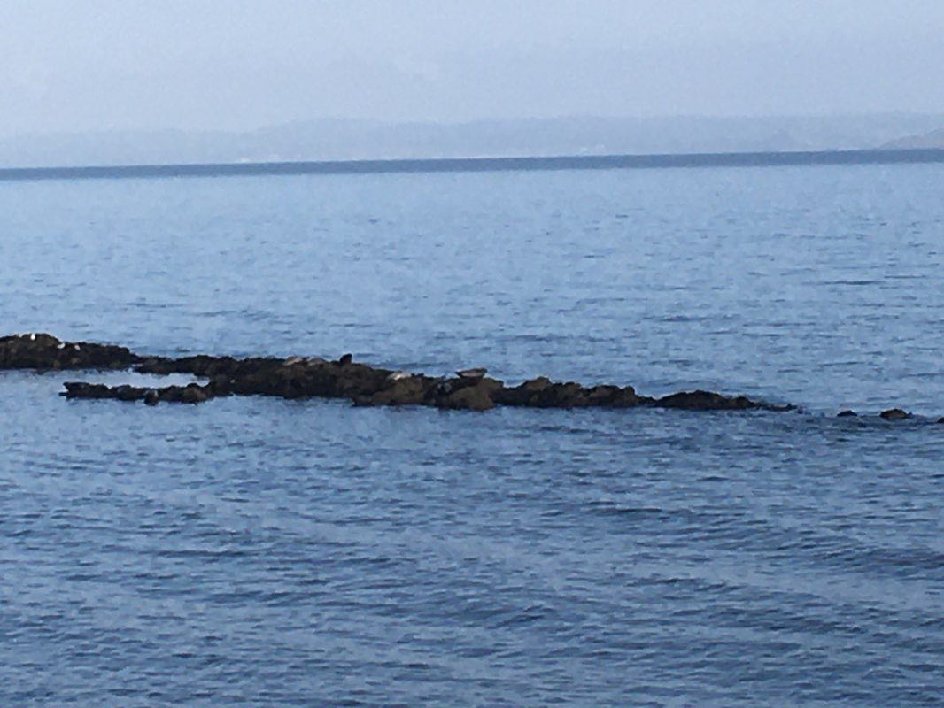 walking near me in Monks Meadow in winter