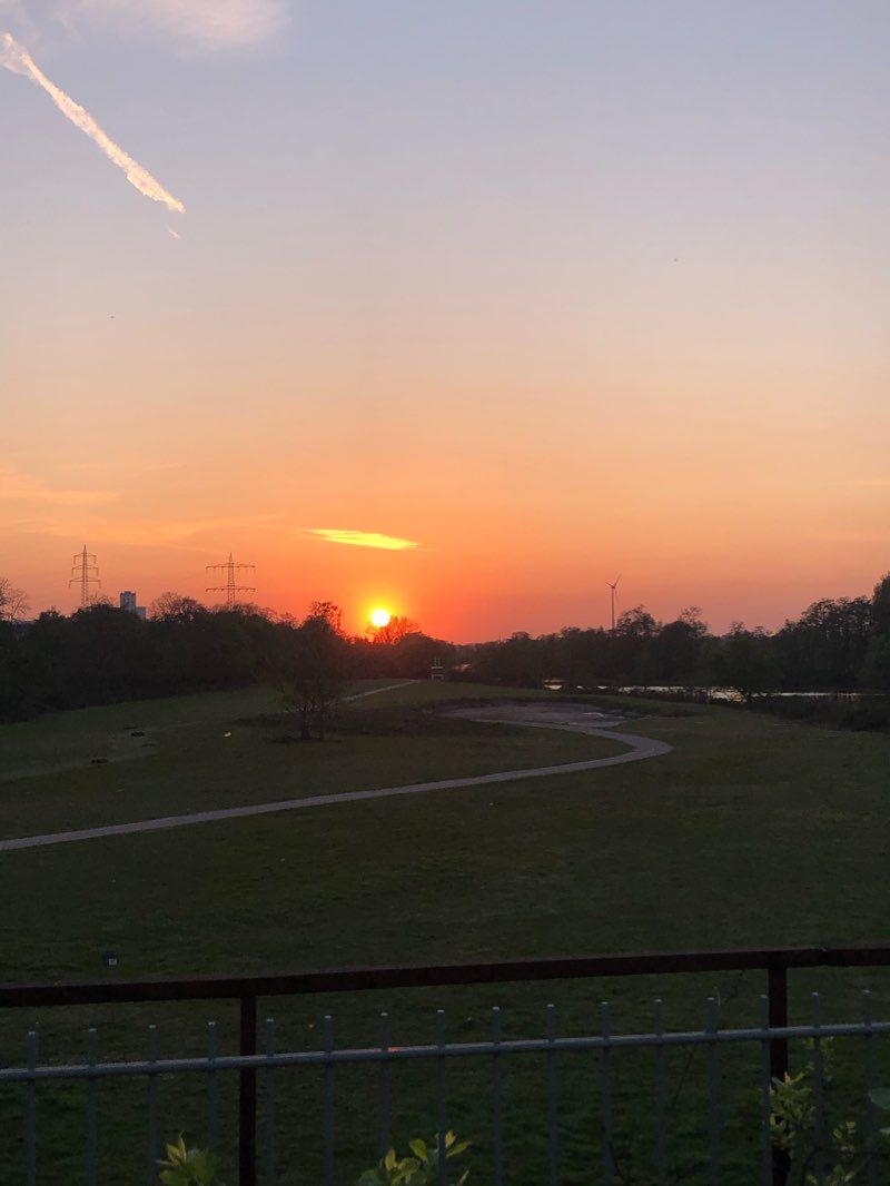 walking near me in Innenstadtpark "Ruhranlage" in winter