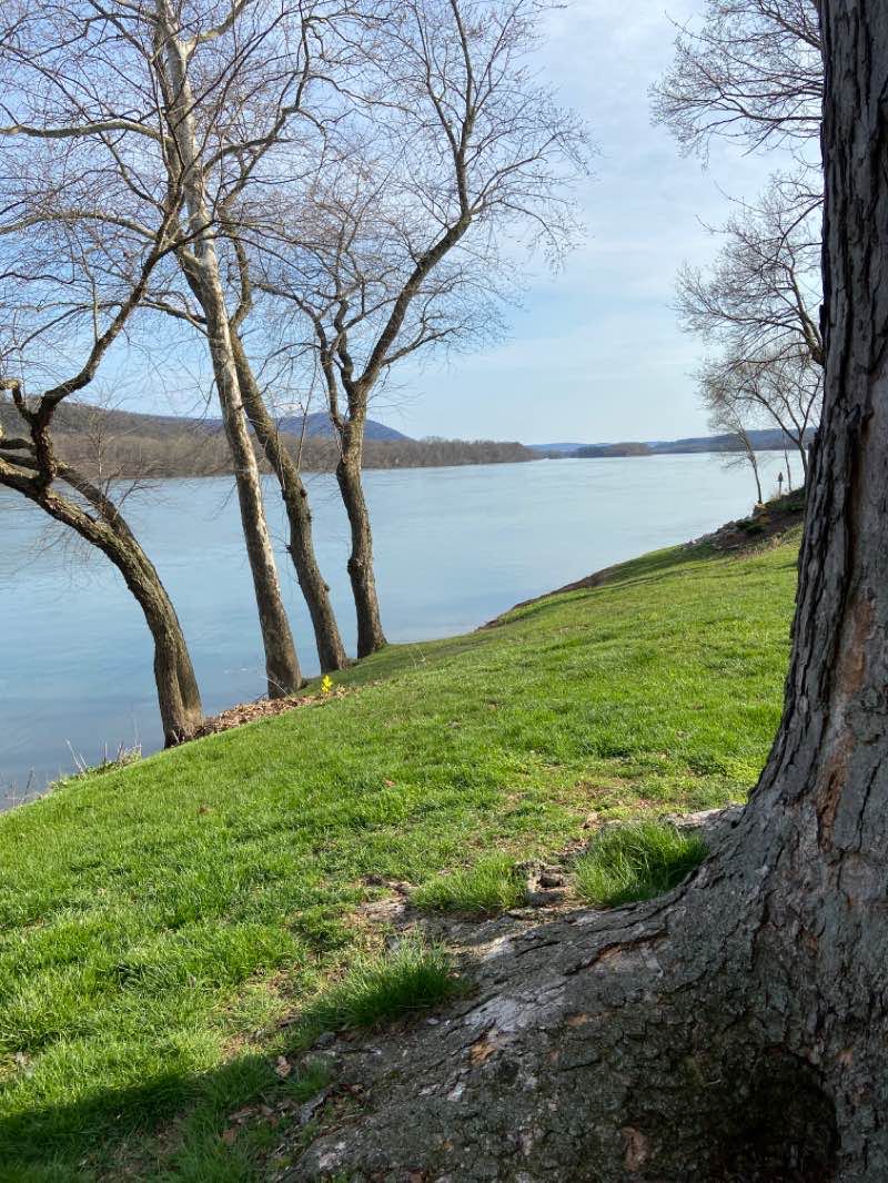 walking near me in Pump House Park in winter