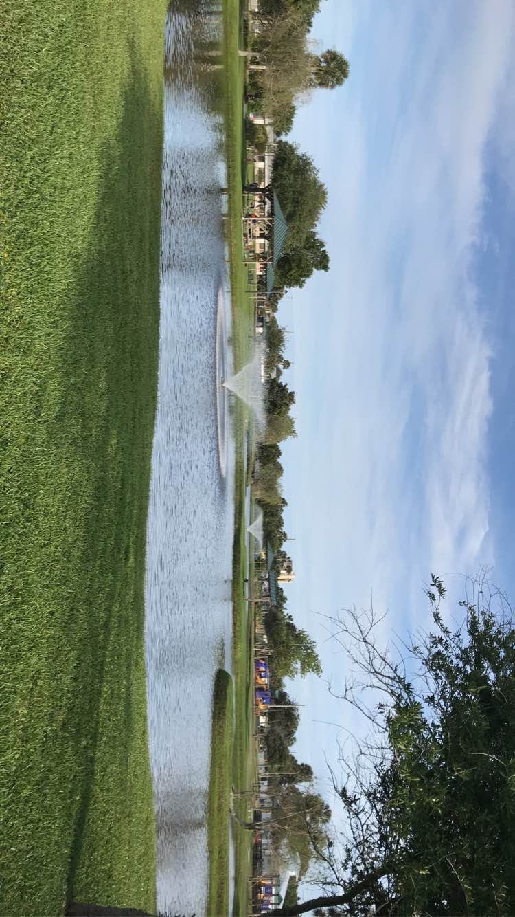 walking near me in Jarboe Park in winter