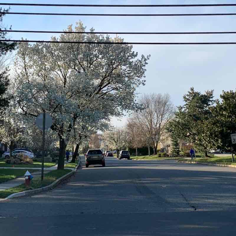 dsalvatoriello post 3