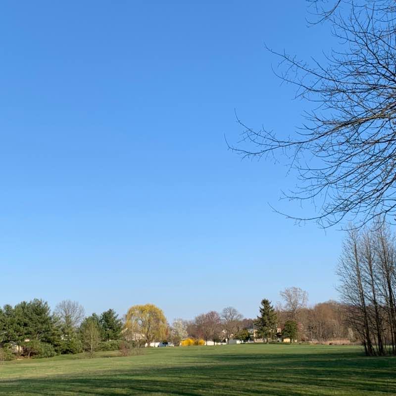 dsalvatoriello post 1