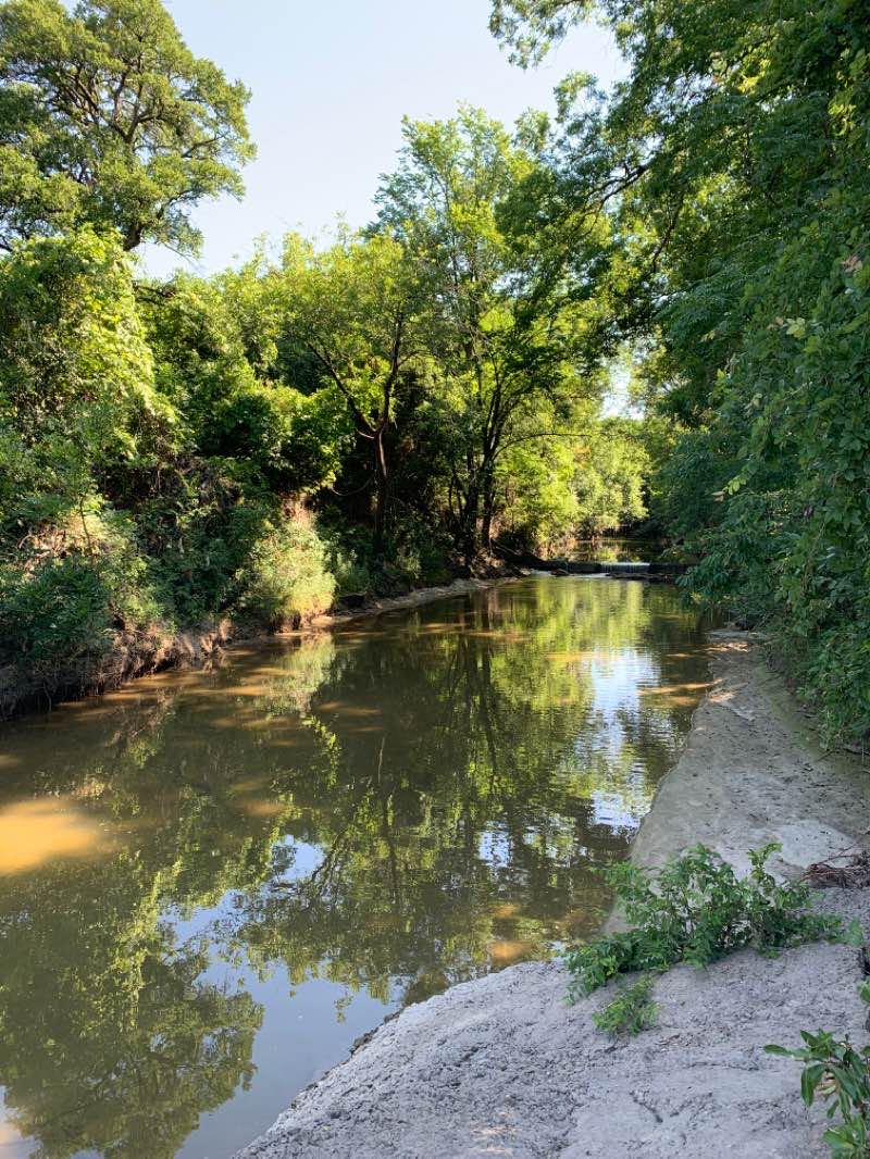 walking near me in Preston Meadow Park in winter