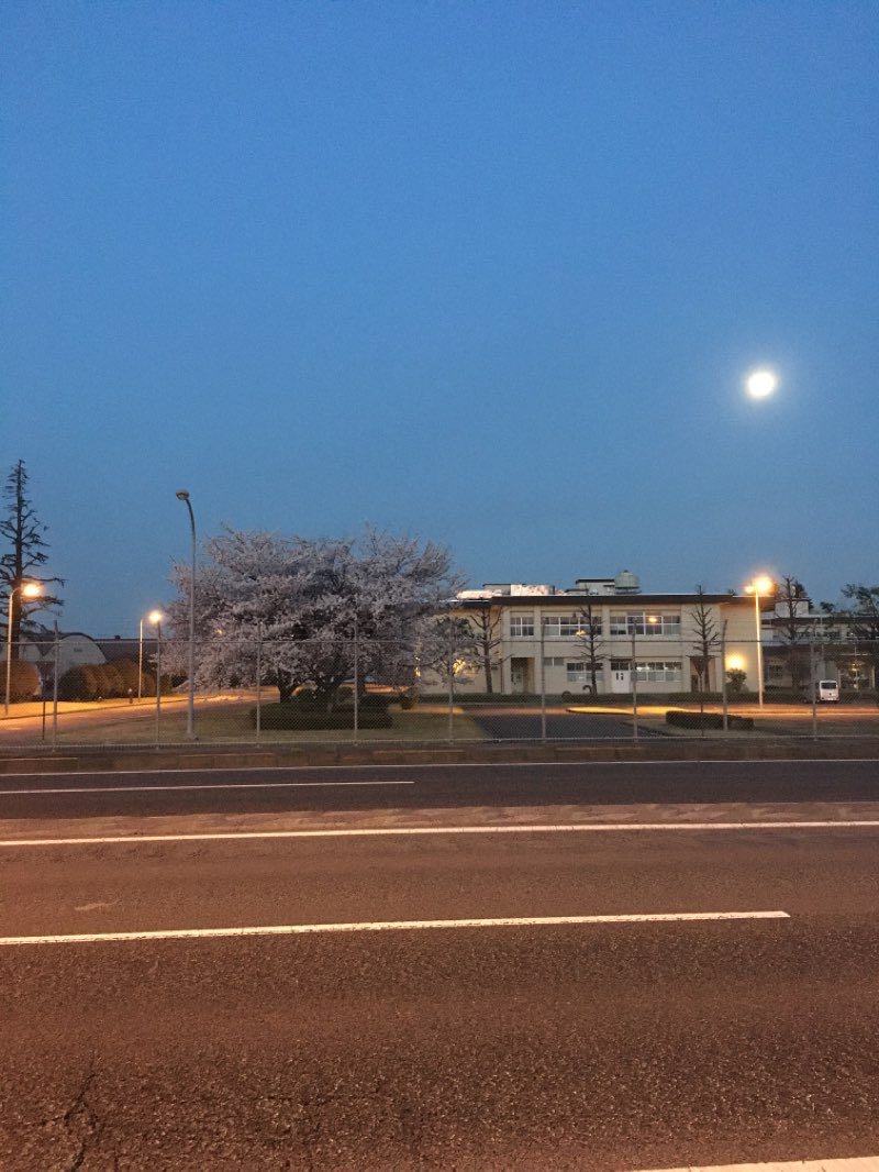 walking near me in Nikkobashi Park in winter