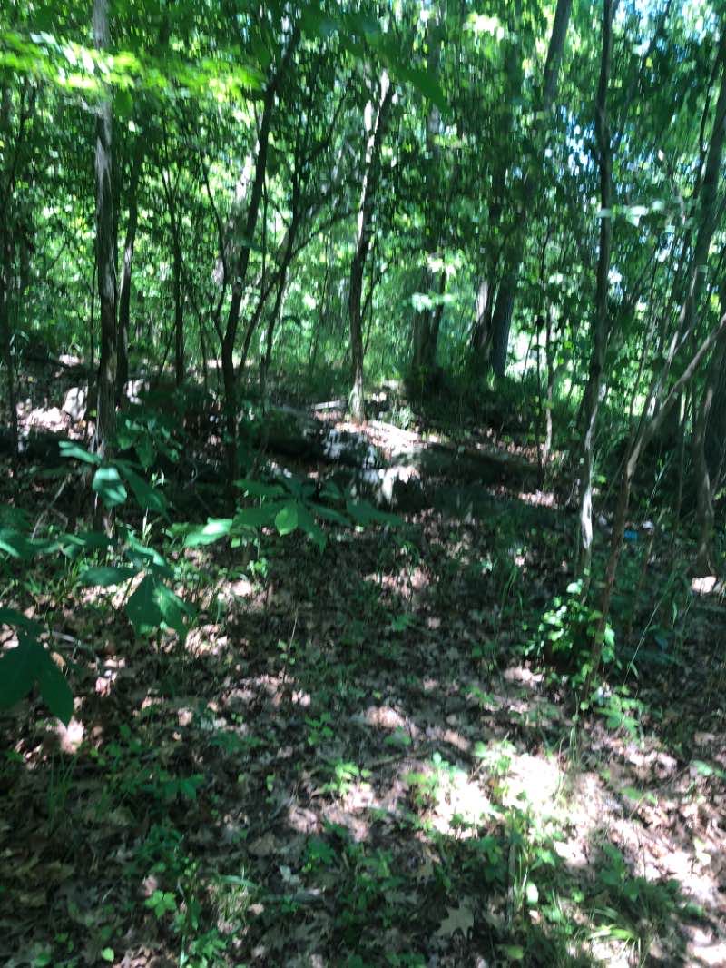walking near me in Great Falls Park in winter