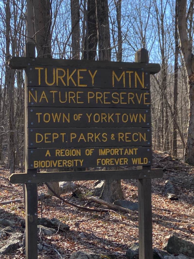 walking near me in Turkey Mountain West Unit in winter