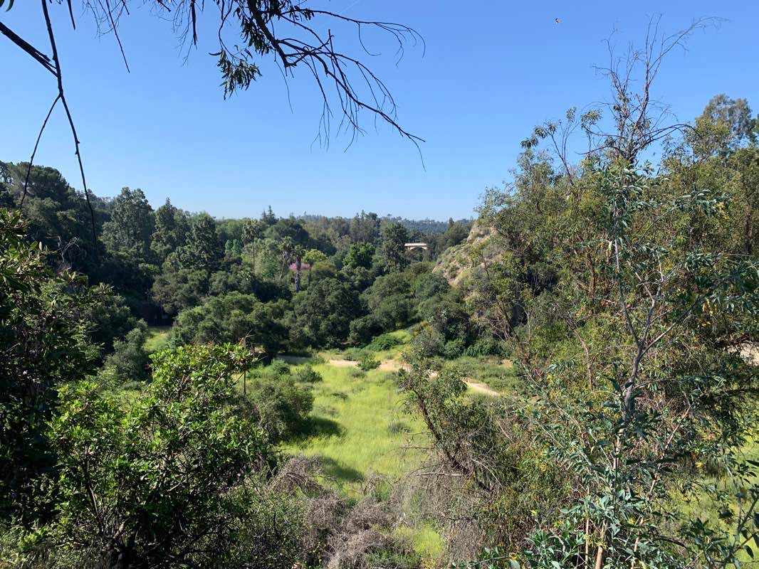 walking near me in Lower Arroyo Park in winter