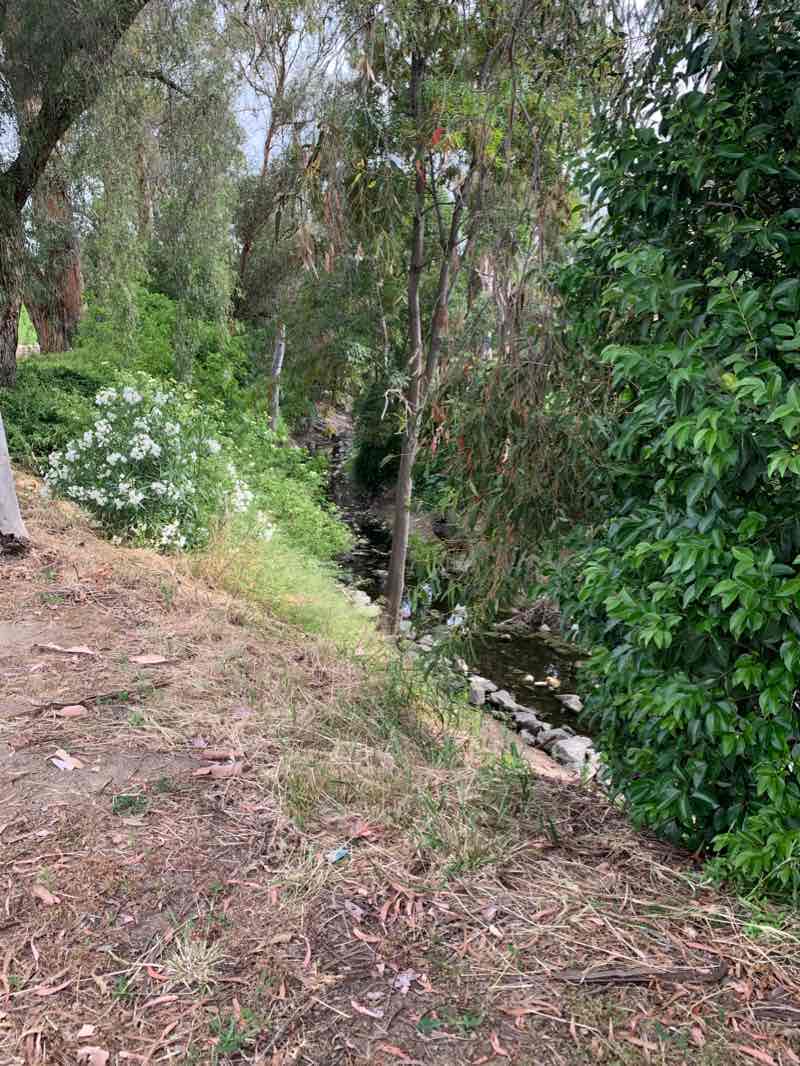 walking near me in Fullerton Creek Greenbelt in winter