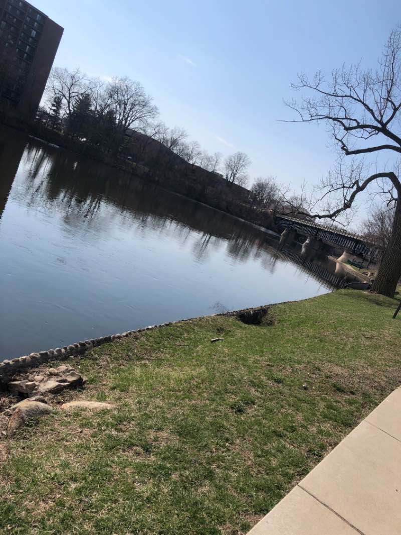 walking near me in Howard Park in winter