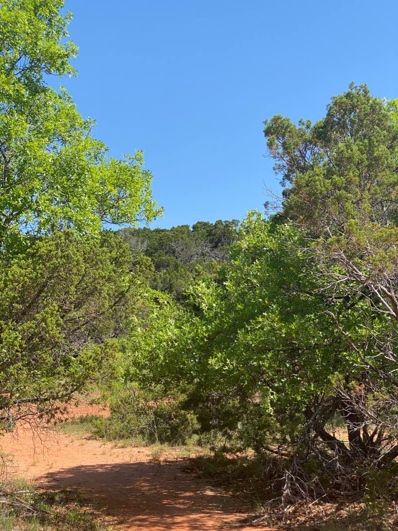 walking near me in Abilene State Park in winter