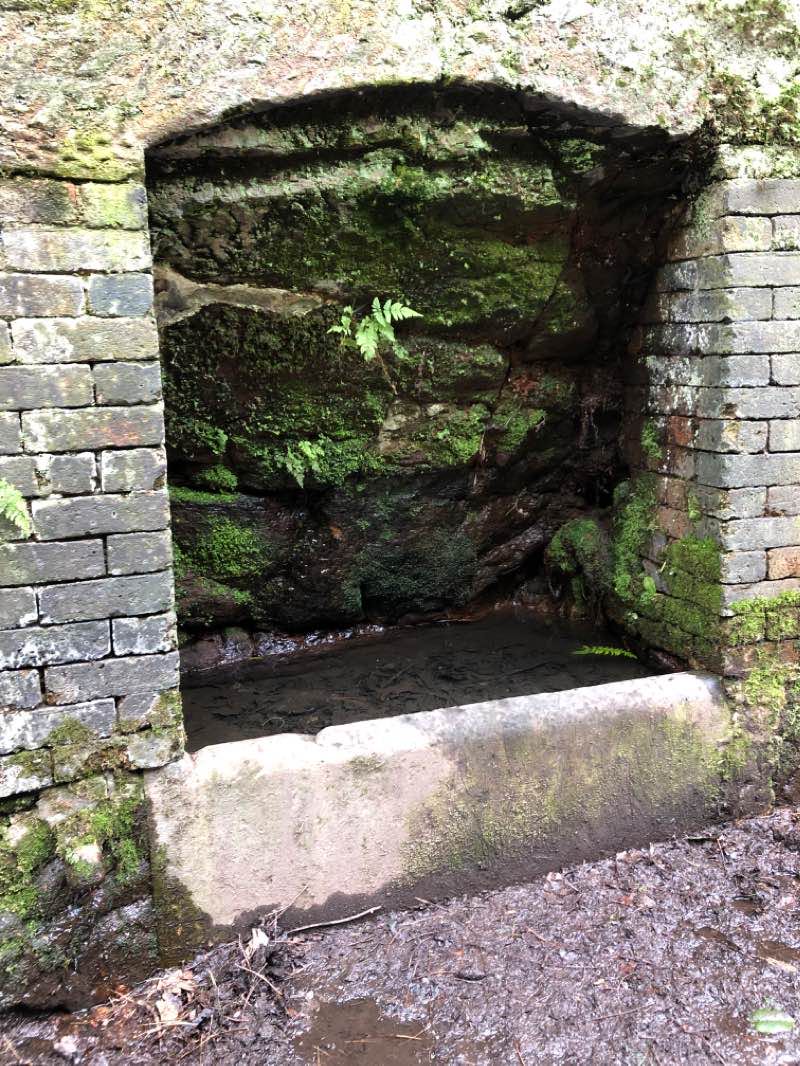 walking near me in Walton Hall Gardens in winter