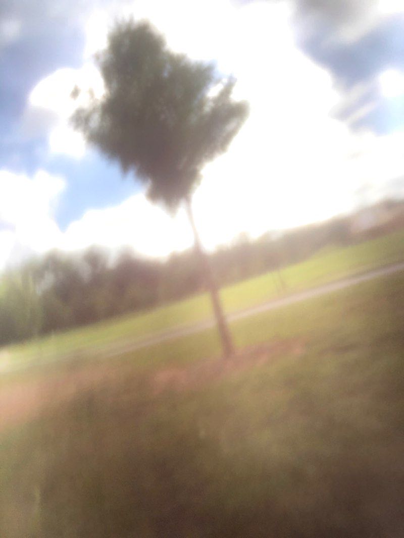 walking near me in North Augusta Greenway Park in winter