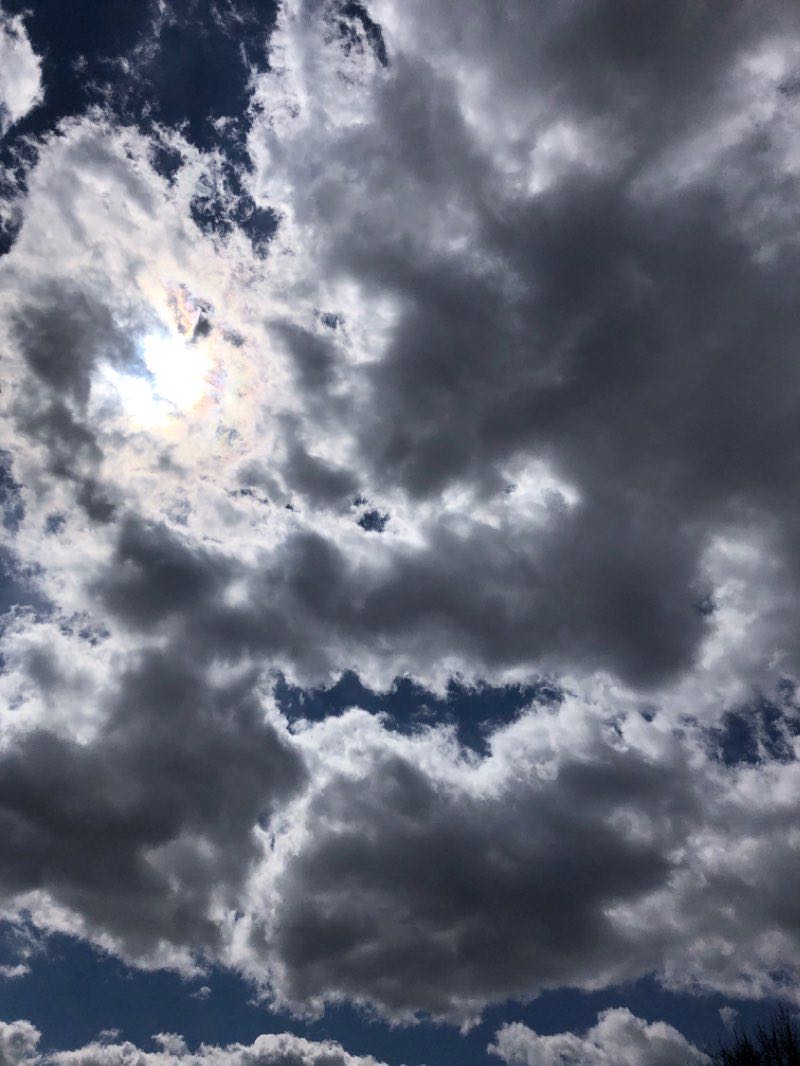 walking near me in Greenway in winter