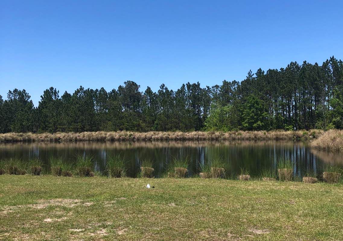 walking near me in Smith Creek Park in winter