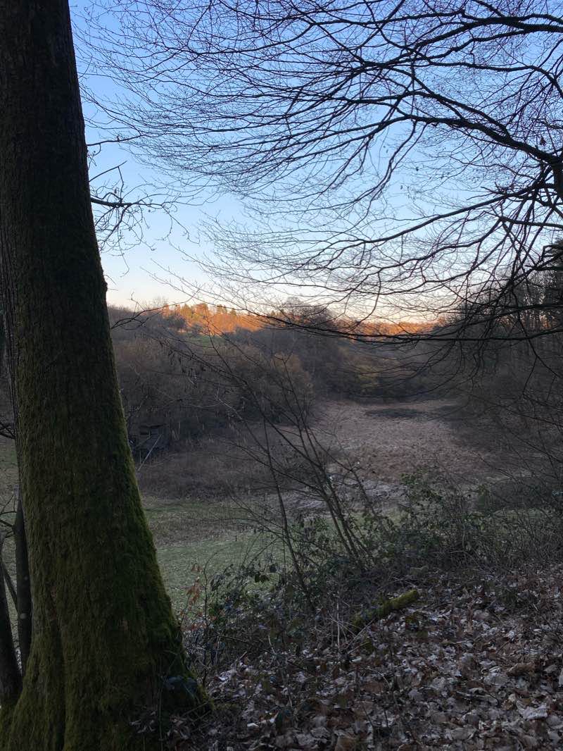 walking near me in Neuer Kurpark in winter