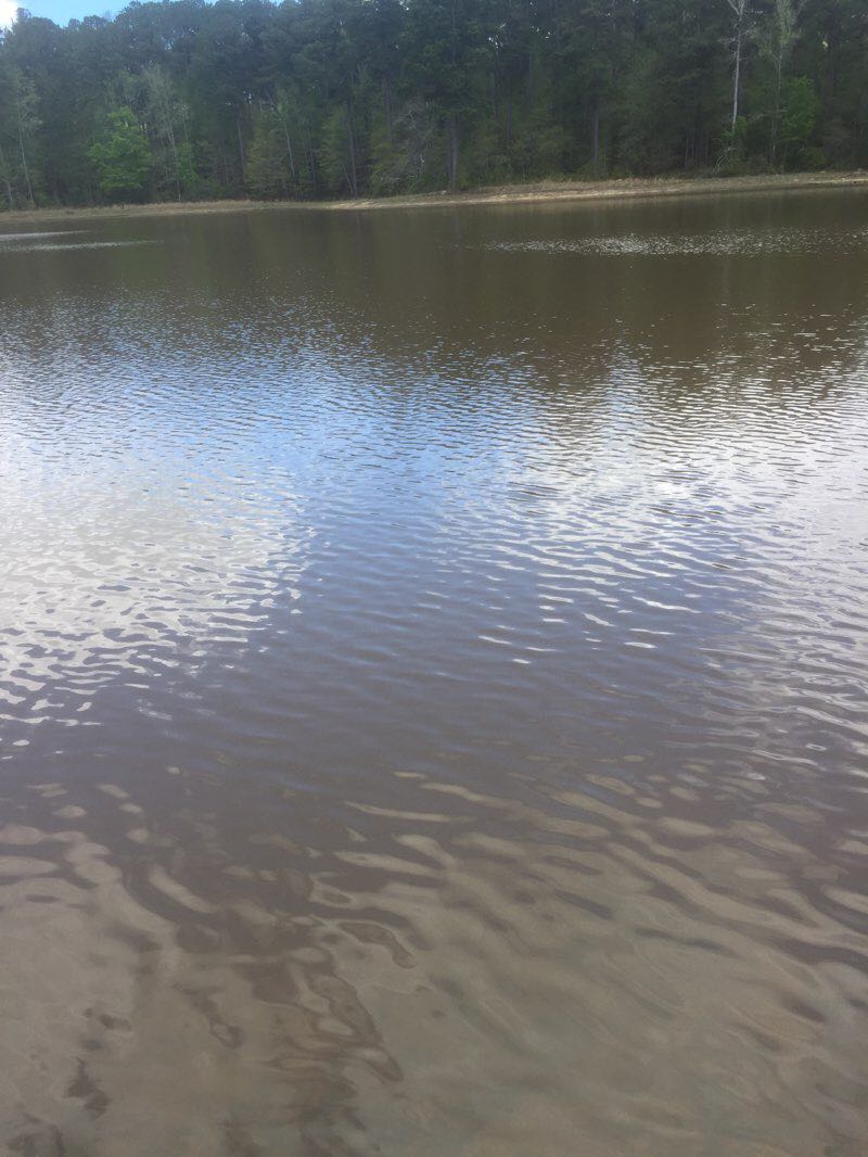 walking near me in A. H. Stephens State Park in winter