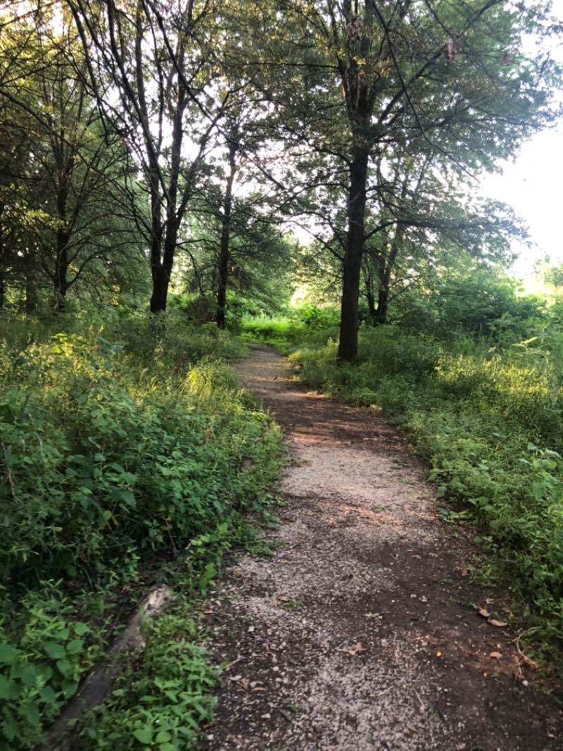 walking near me in Art Hill in winter