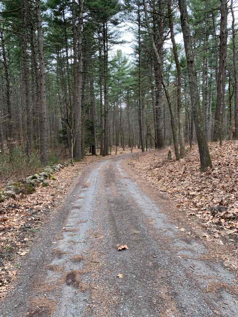 walking near me in Bedford Road Conservation Area in winter