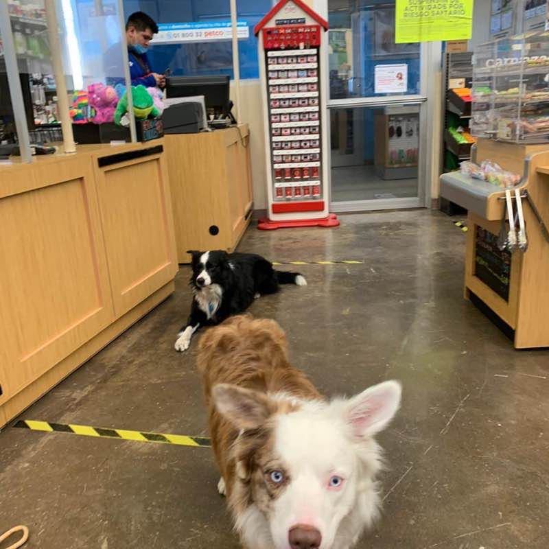 Luis (Negro)🇲🇽 post 3