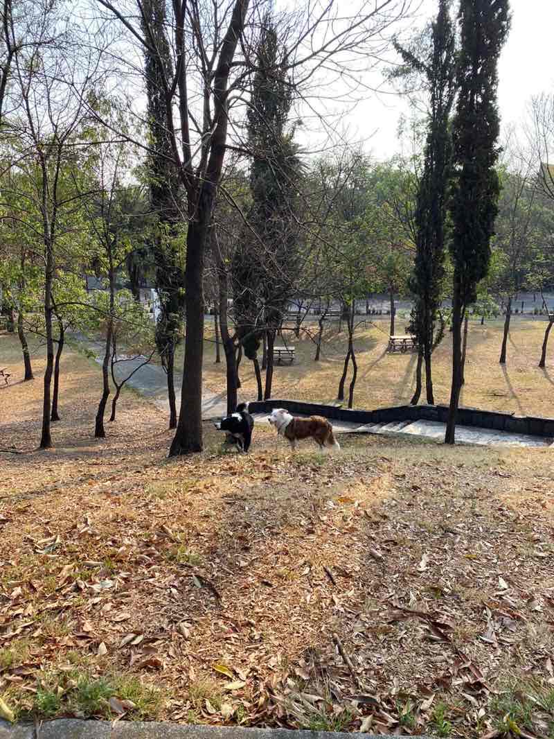 walking near me in Parque España in winter