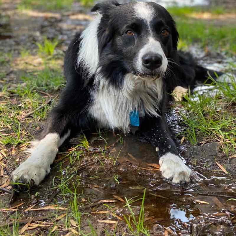 Luis (Negro)🇲🇽 post 3