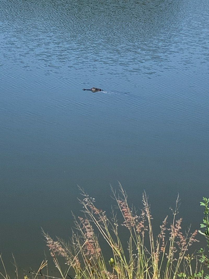 walking near me in Sheffield Park in winter