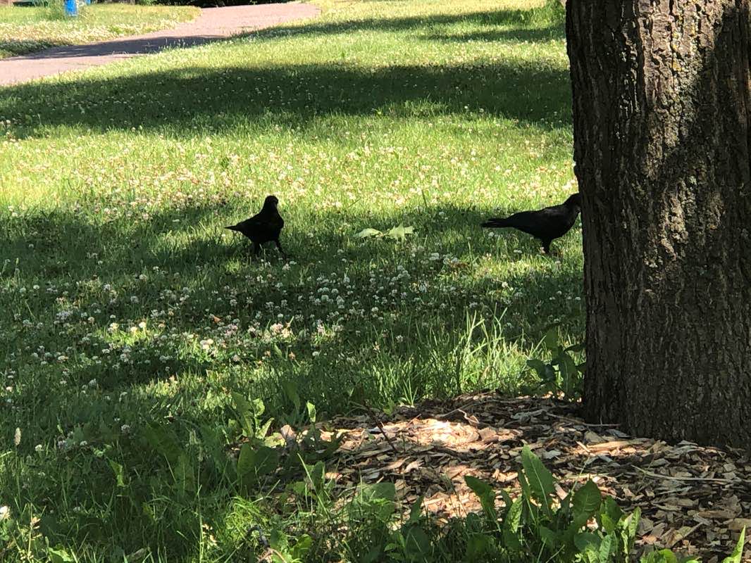 walking near me in Leif Erikson Park in winter