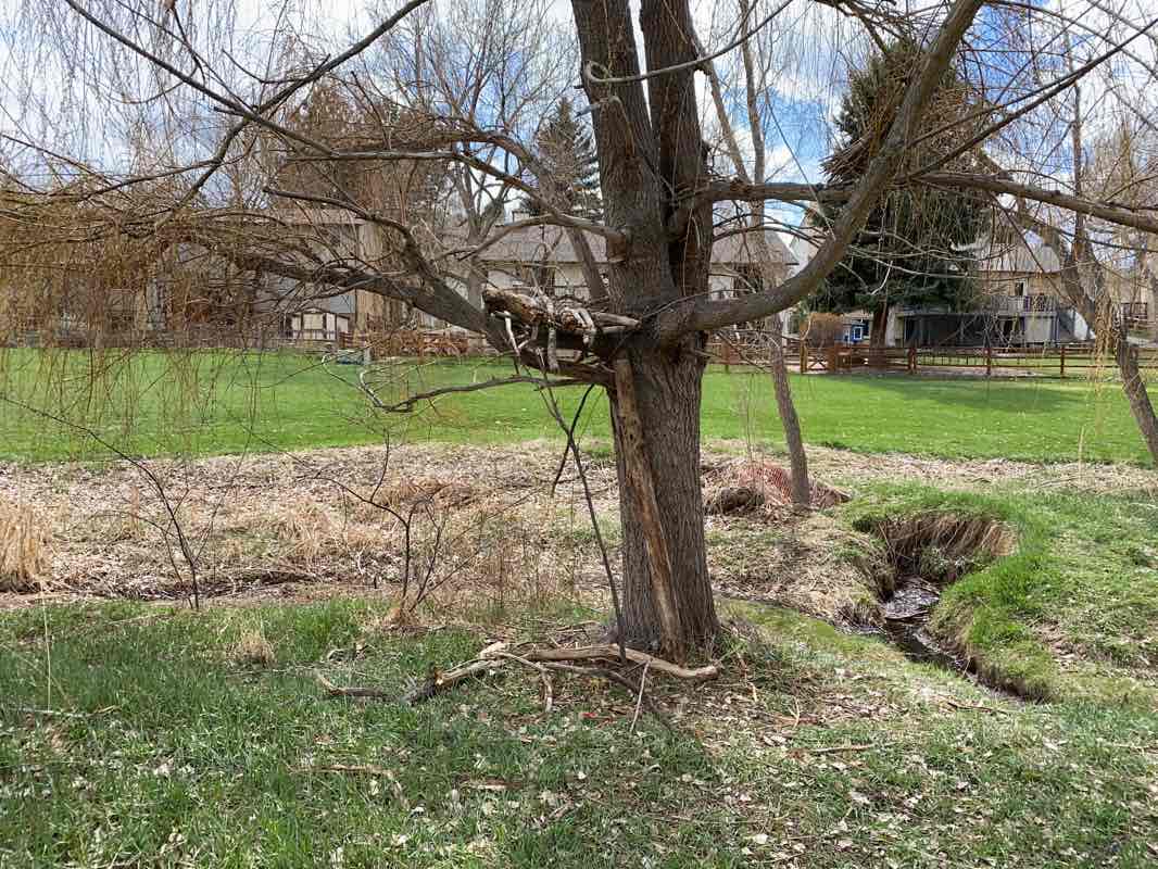 walking near me in Ridgeview Park in winter