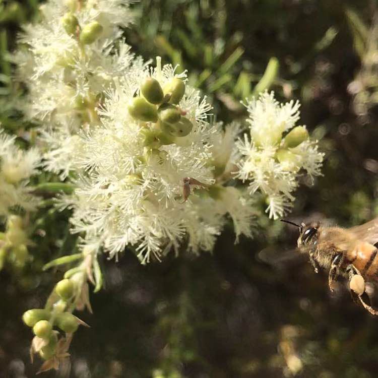 🇦🇺 Anita 🇦🇺 post 1