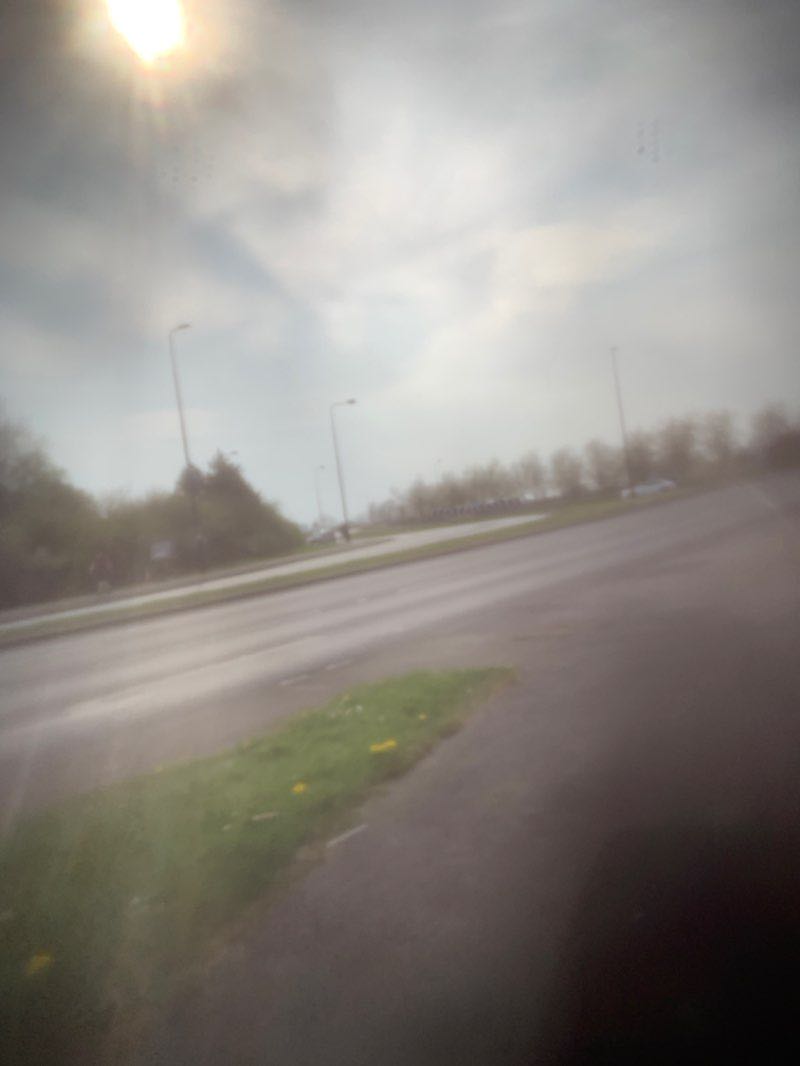 walking near me in Harewood Pleasure Gardens in winter