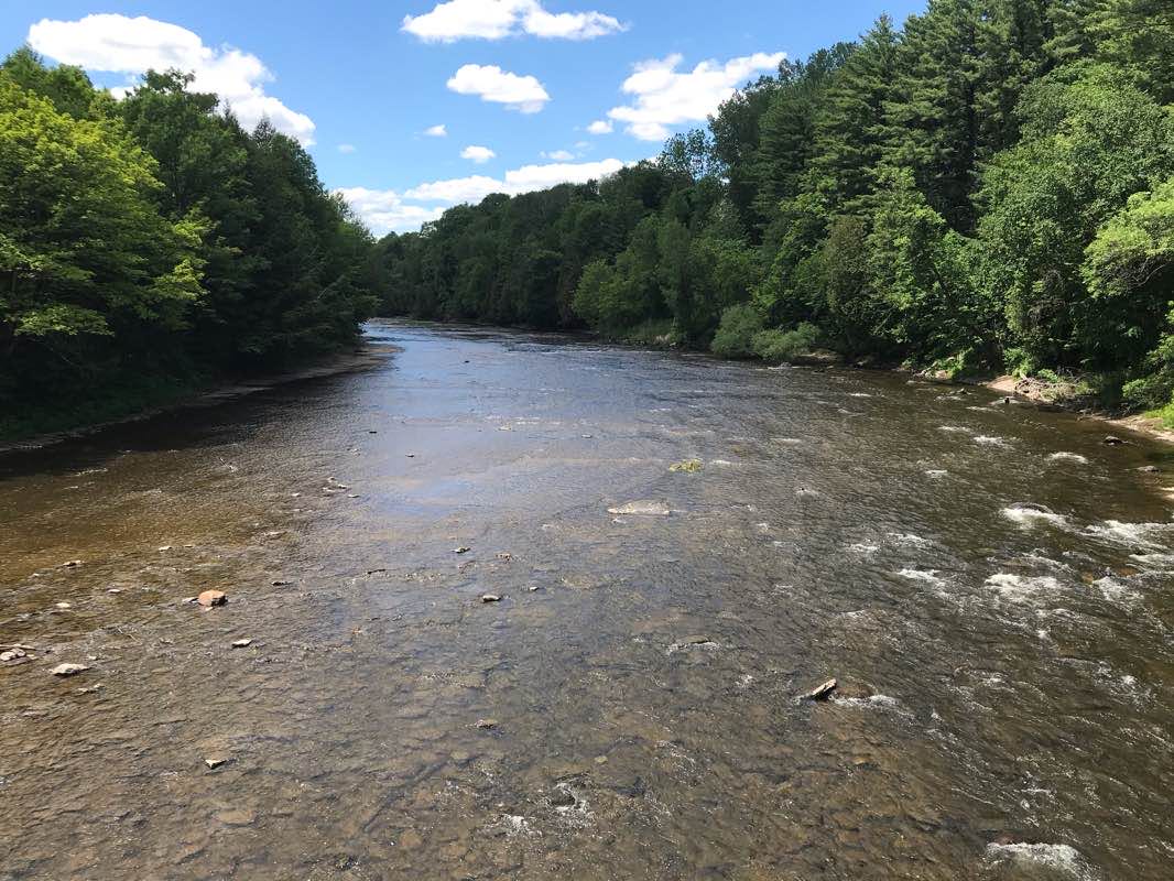 walking near me in Parc Georges-Rondeau in winter