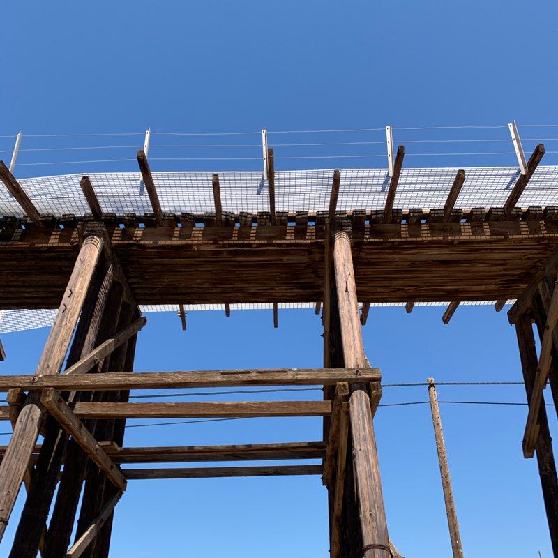 walking near me in Van Der Linden Field in winter