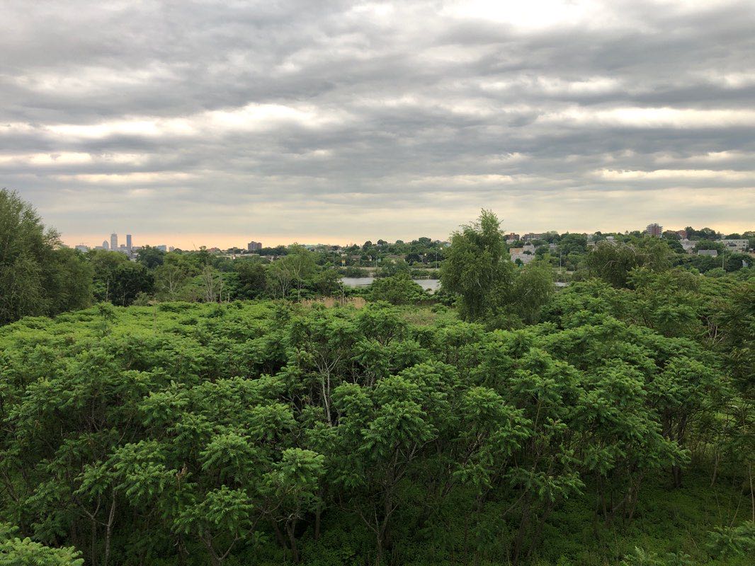 walking near me in Mystic River Reservation in winter