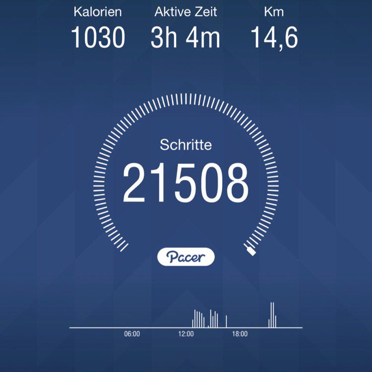 Bruno 🏃🏻‍♂️💨 post 1