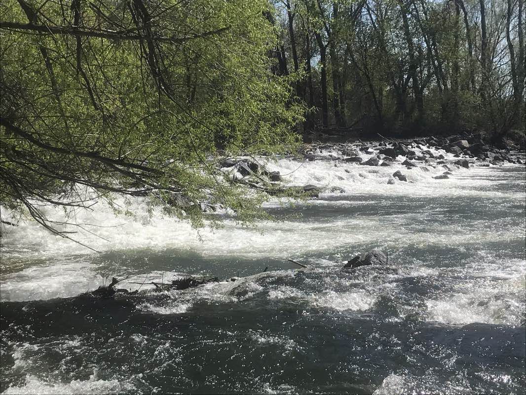 walking near me in River Pointe Park in winter