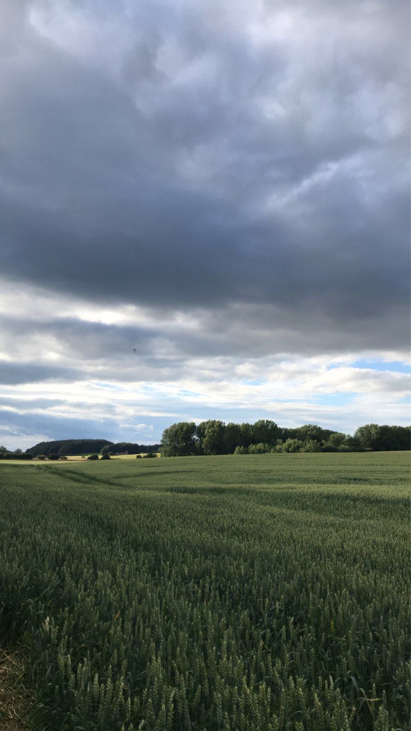 walking near me in Paddies Park in winter