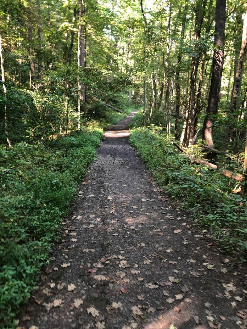 walking near me in Ferncliff Peninsula Natural Area in winter
