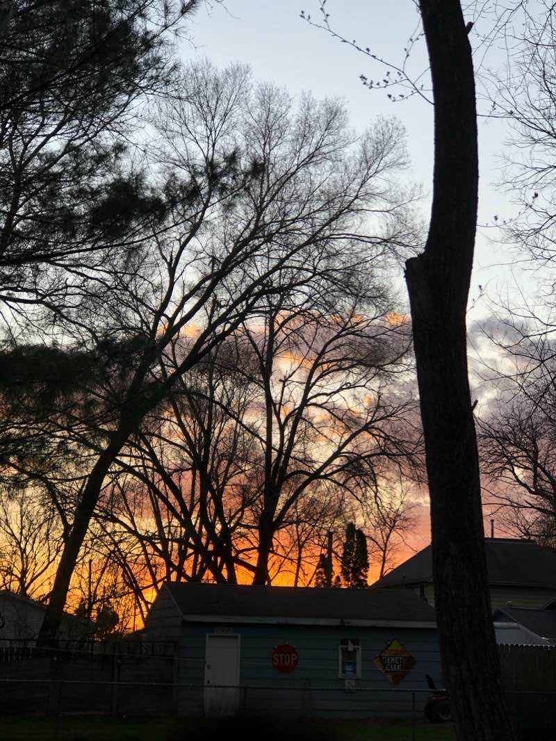 walking near me in Colby Park in winter