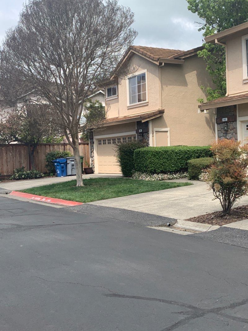 walking near me in Leghorn's Park in winter