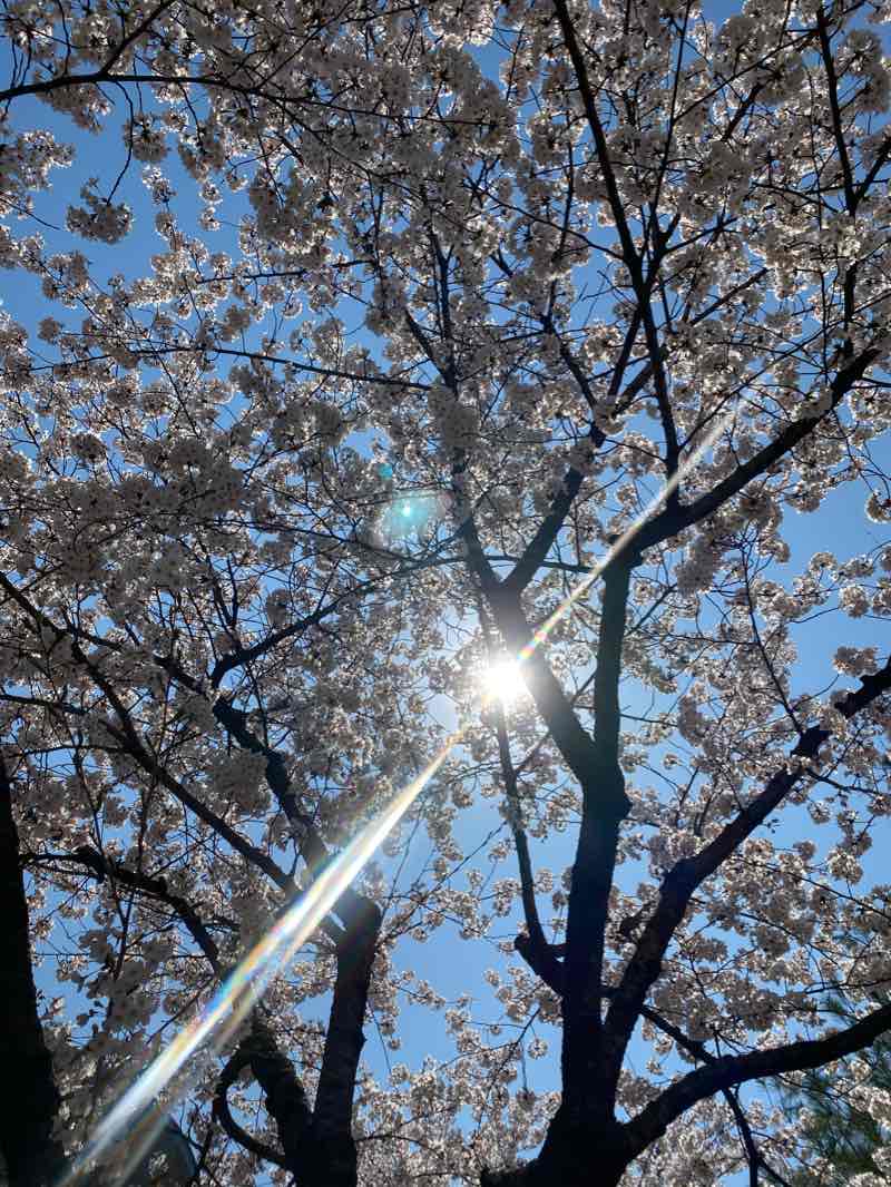 walking near me in 손바닥공원 in winter